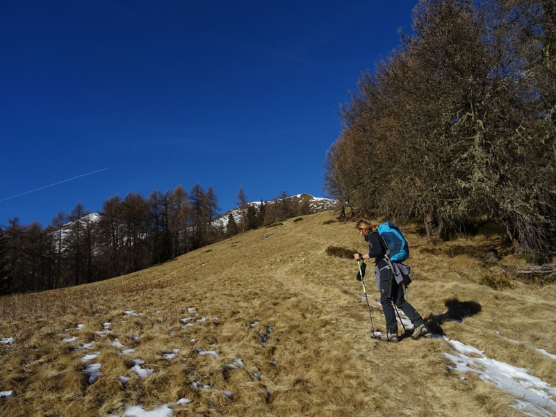 Cimon di Bolentina m. 2287 - Piz di Montes m. 2368